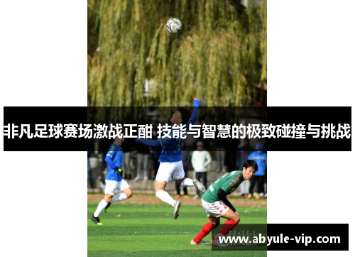 非凡足球赛场激战正酣 技能与智慧的极致碰撞与挑战