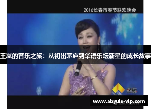 王岚的音乐之旅：从初出茅庐到华语乐坛新星的成长故事
